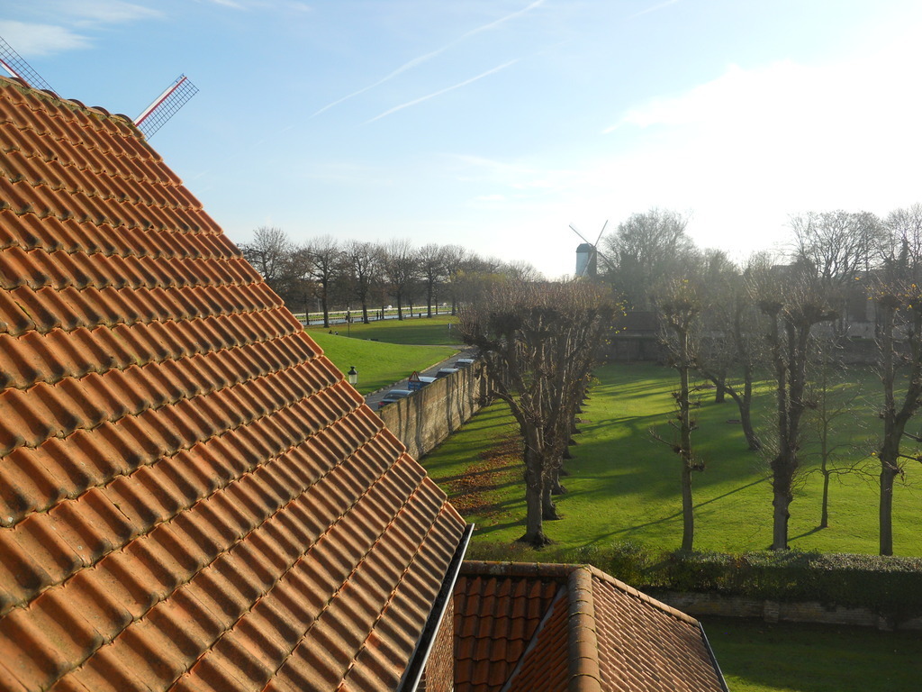 View from the backside bedroom towards the moan/canal/windmills and walking trails