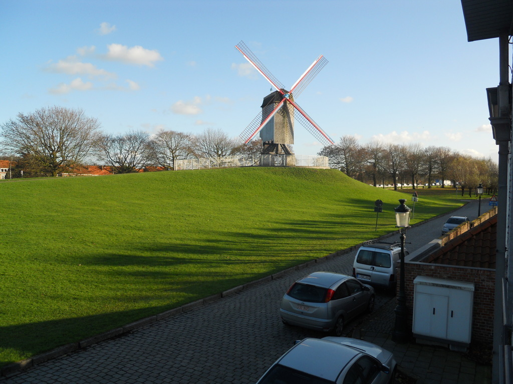 View from our house upon the windmills and grass zones.