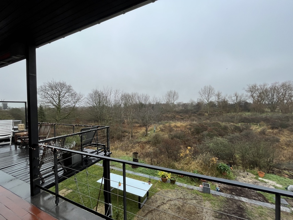 Koksijde. View on garden and adjacent dunes.