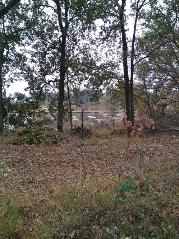 Nature reserve 'Het zwarte water' in Sanddunes in Herentals
