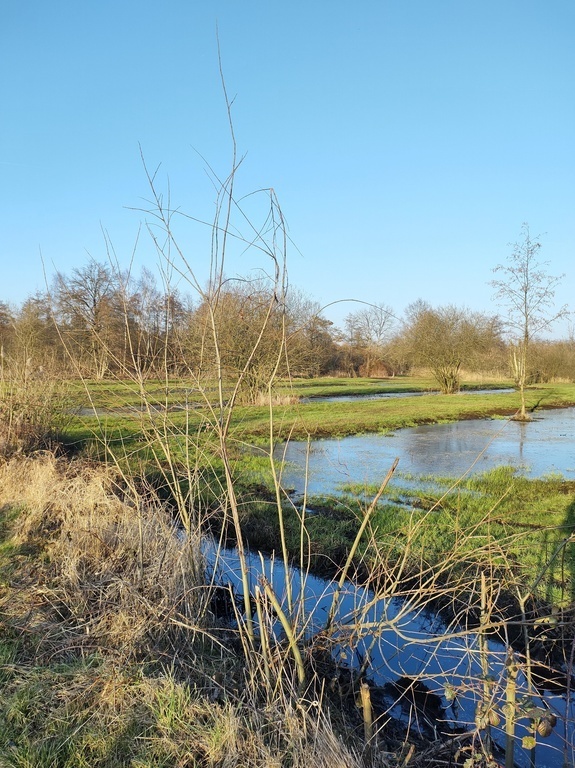 Nete valley - Olens Broek