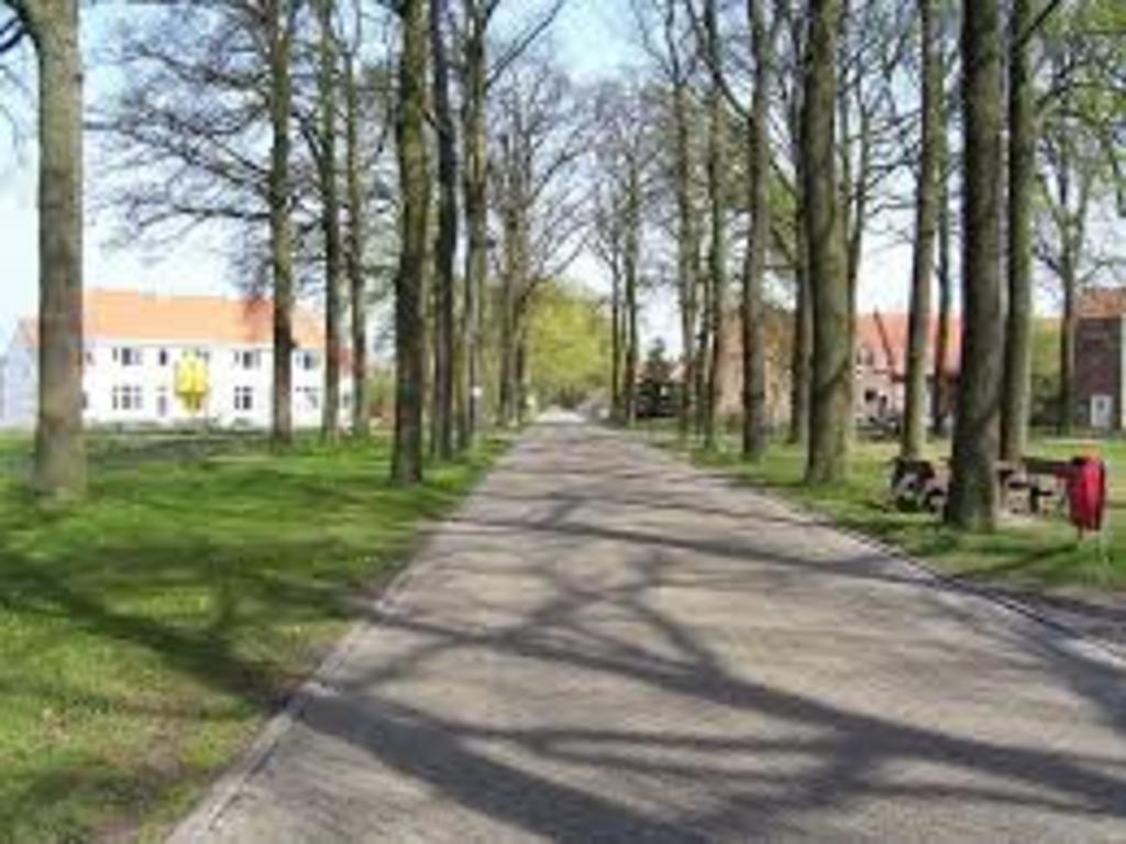 Wandelen in Wortel Kolonie