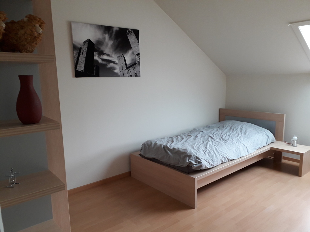 bedroom with single bed