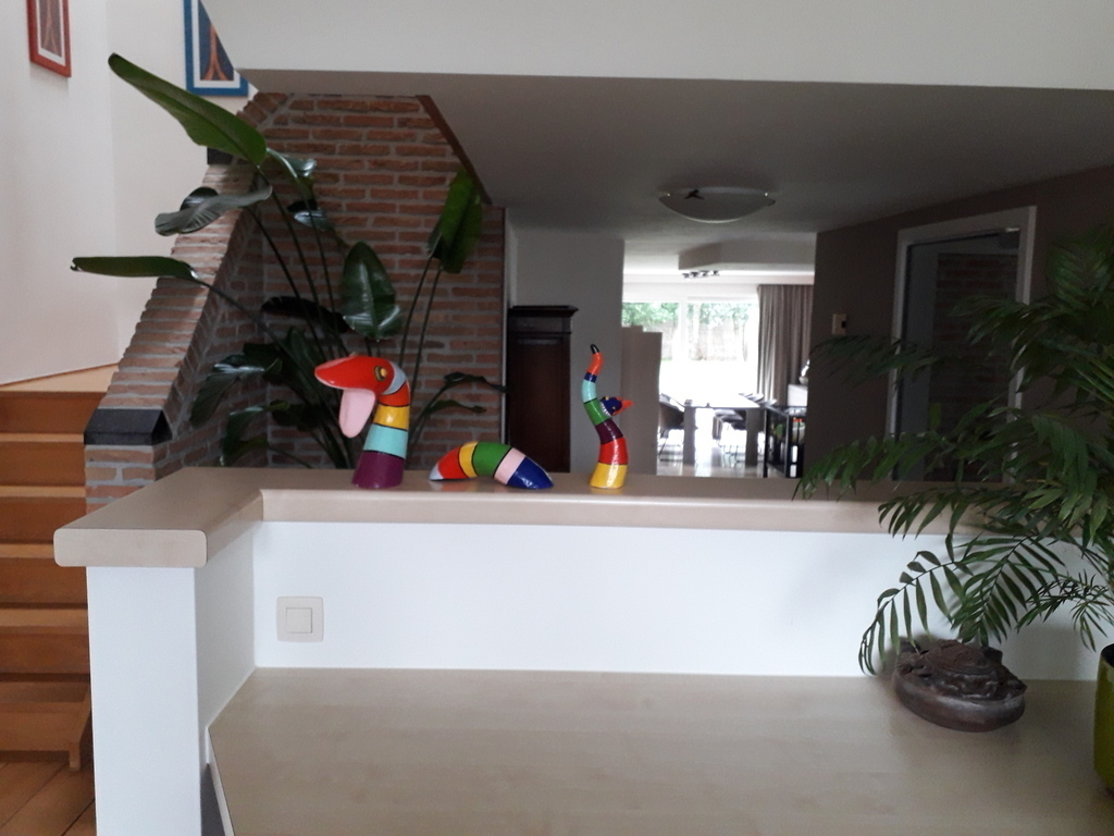 view from the office