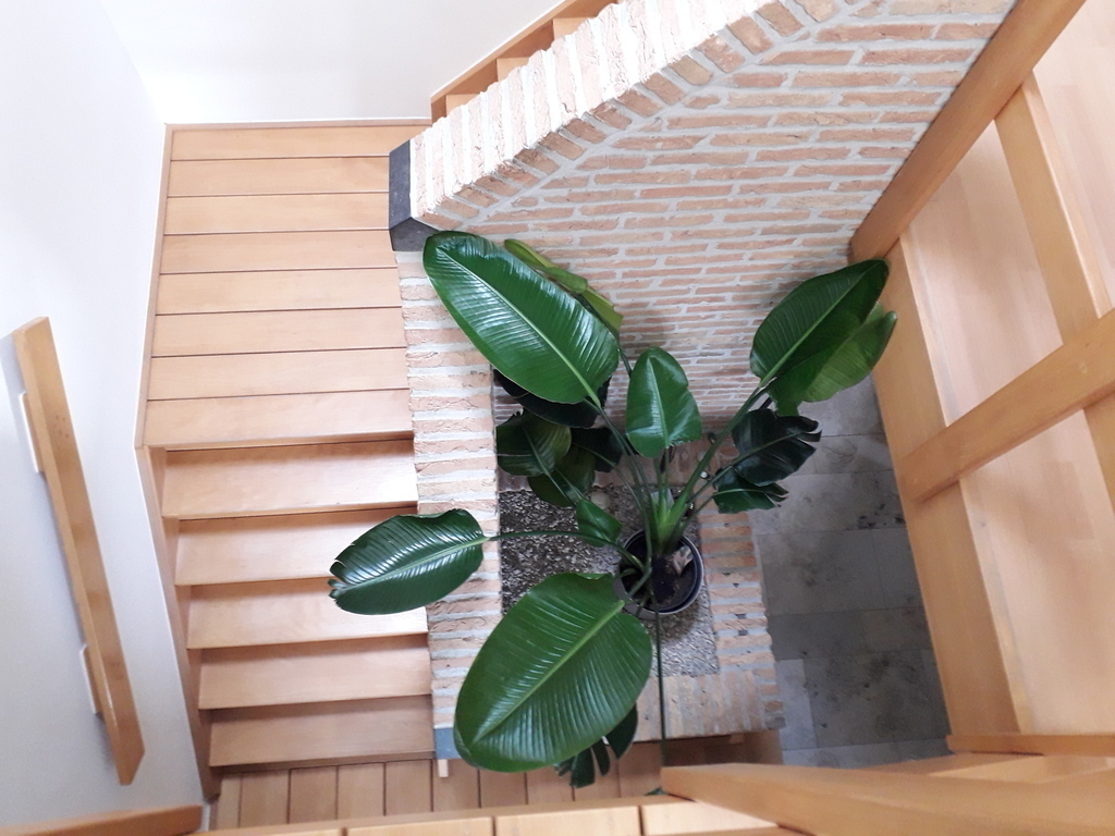 view from the 1st floor