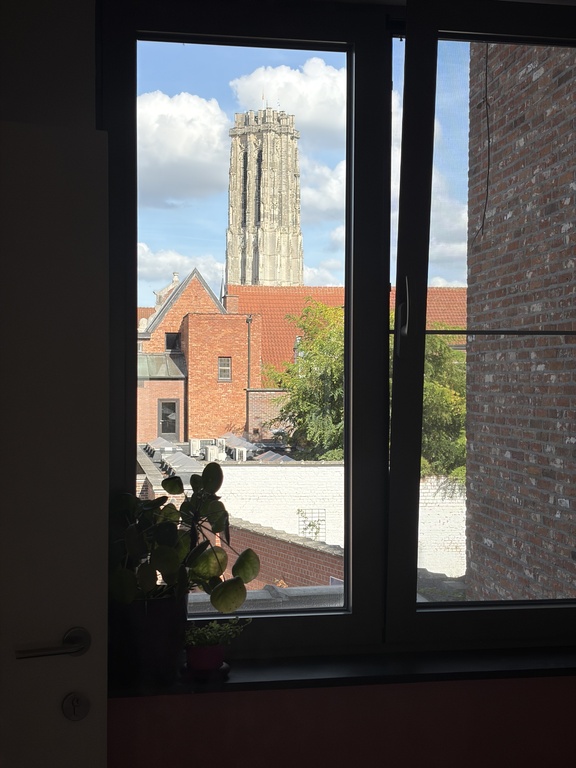 Towerview from the guest room at the first floor