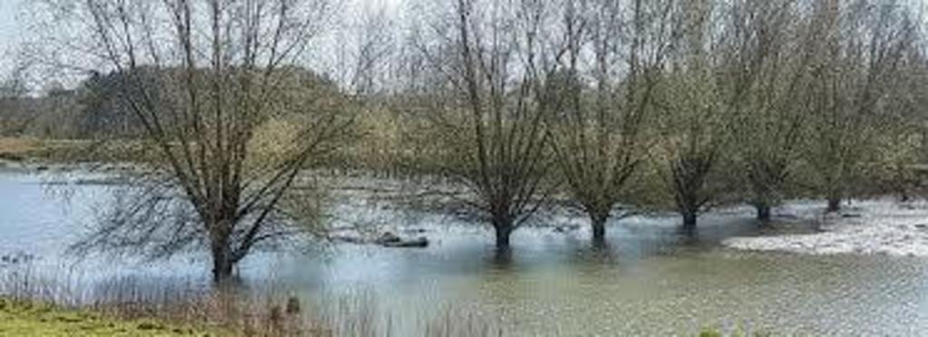 Kalkense meersen, next to Laarne