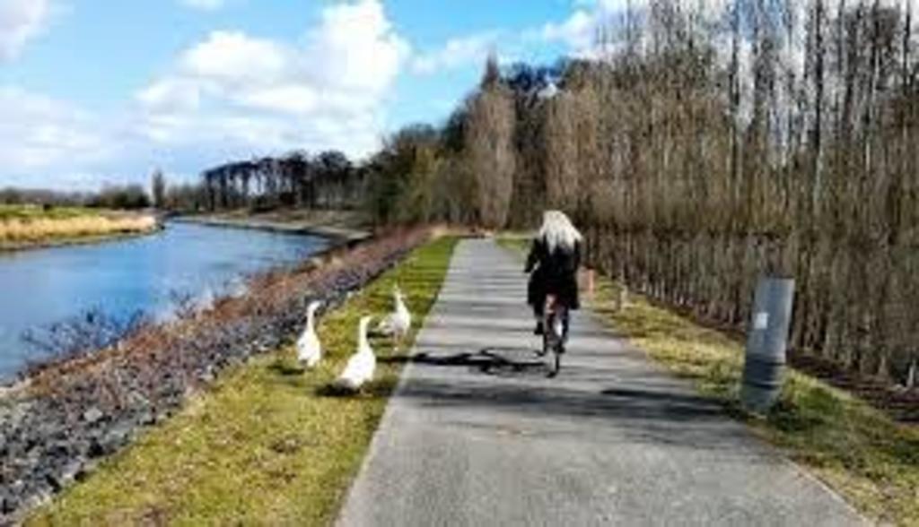 Wetteren, route along the river (Schelde)