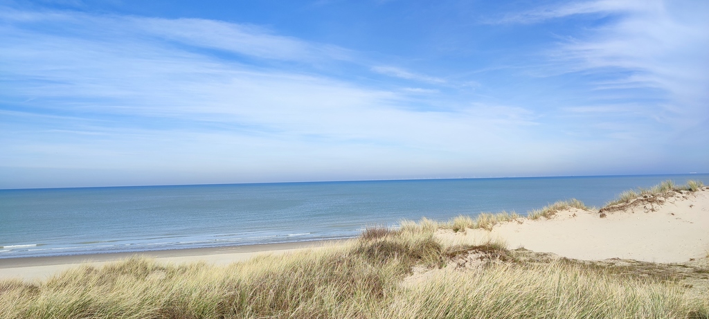 Duinen van Zeebrugge