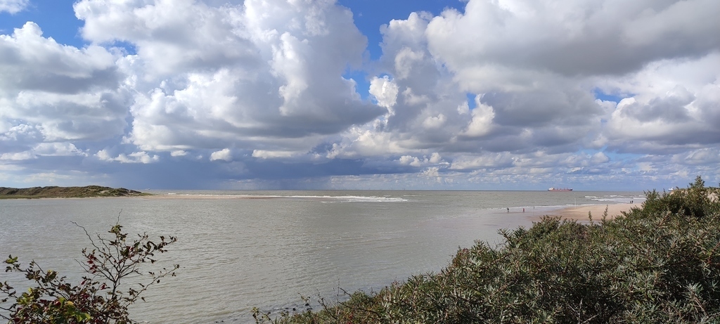 Het Zwin in Knokke/ Cadzand