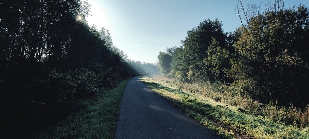 fietsroute langs de Schelde