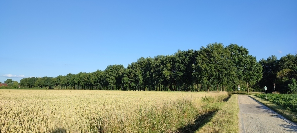 fietstocht in Merelbeke aan het Gentbos