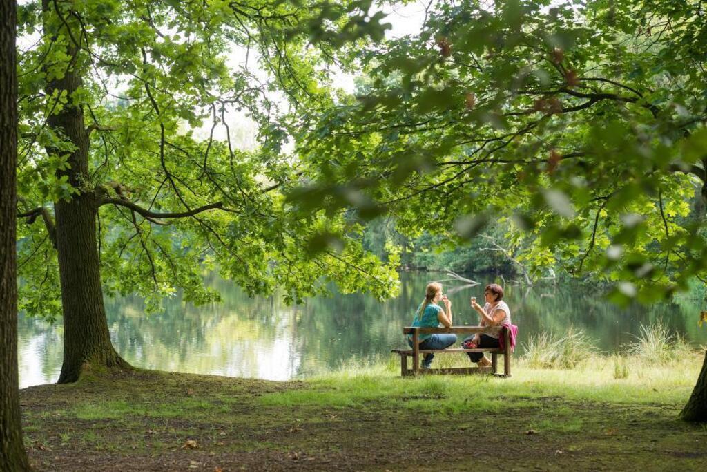  Wortel Kolonie less than 4 km from home, forests with a history and UNESCO world heritage