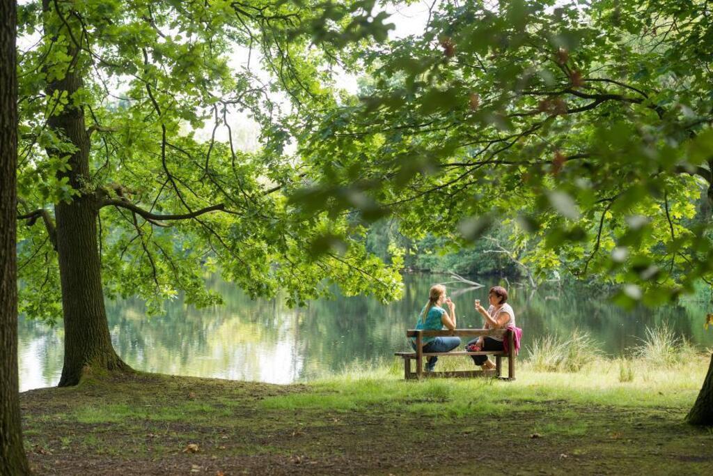  Wortel Kolonie less than 4 km from home, forests with a history and UNESCO world heritage