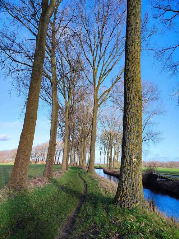 A walk between the fields (1km)