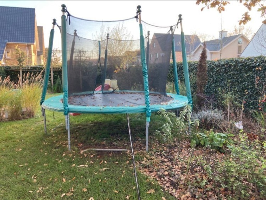 Tuin: foto 3: zuid-west