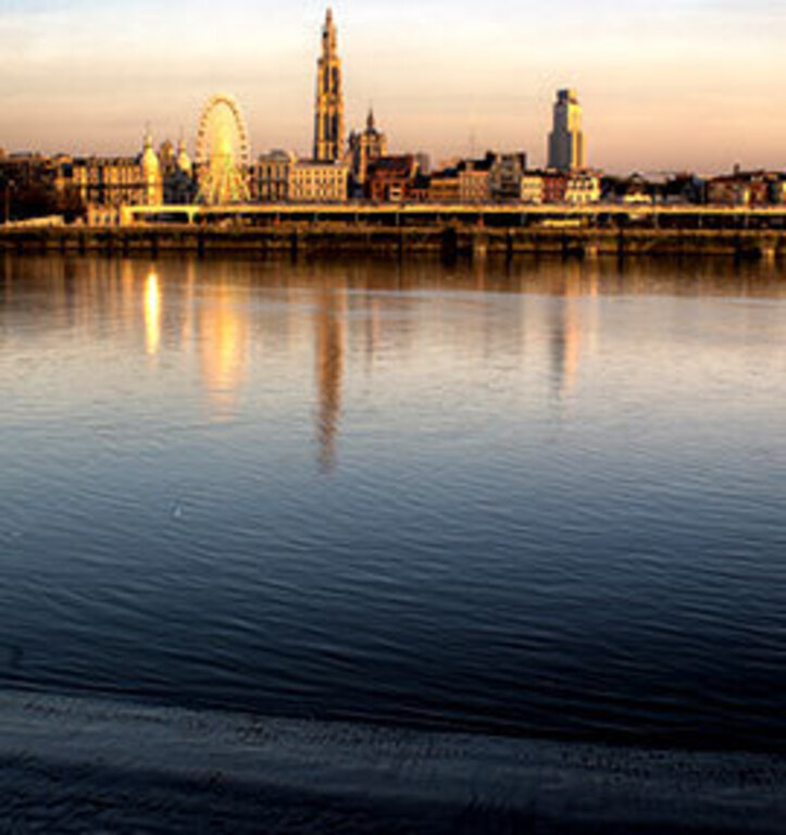 a view on the center from the other side of the river