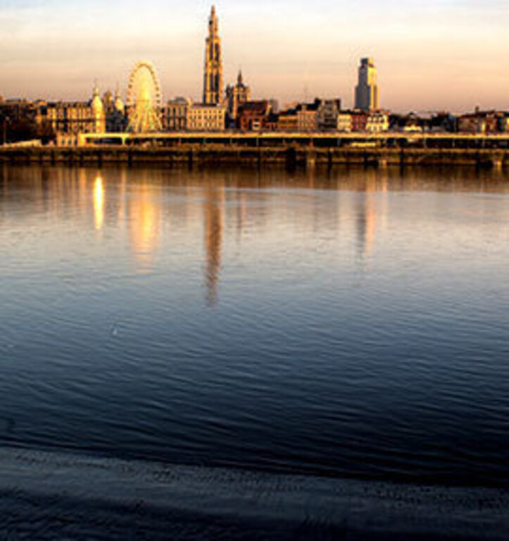 a view on the center from the other side of the river