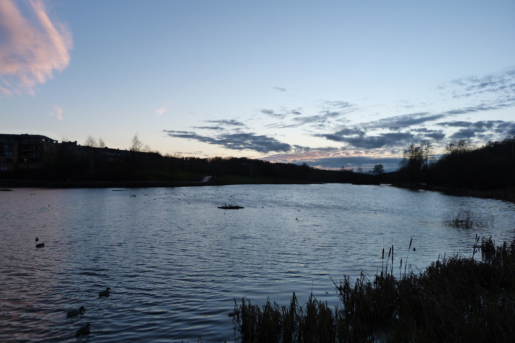 Louvain-la-Neuve 's lake at sunset near our house / Le lac de LLN au coucher du soleil, à côté de chez nous