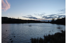 Louvain-la-Neuve 's lake at sunset near our house / Le lac de LLN au coucher du soleil, à côté de chez nous