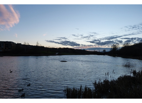 Louvain-la-Neuve 's lake at sunset near our house / Le lac de LLN au coucher du soleil, à côté de chez nous