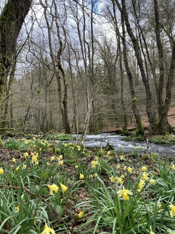 At spring, 15 minutes walk from our house