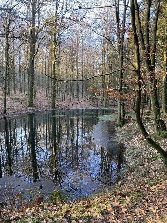 10 minutes walk from our house