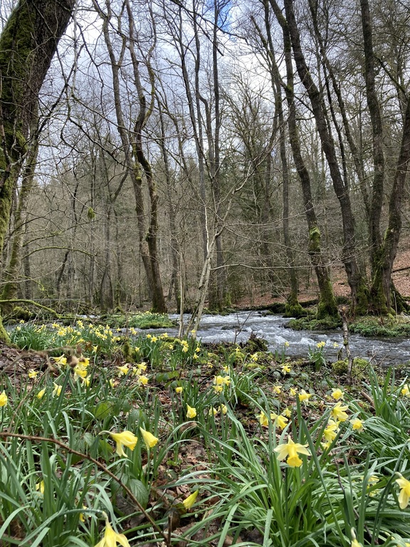 At spring, 15 minutes walk from our house