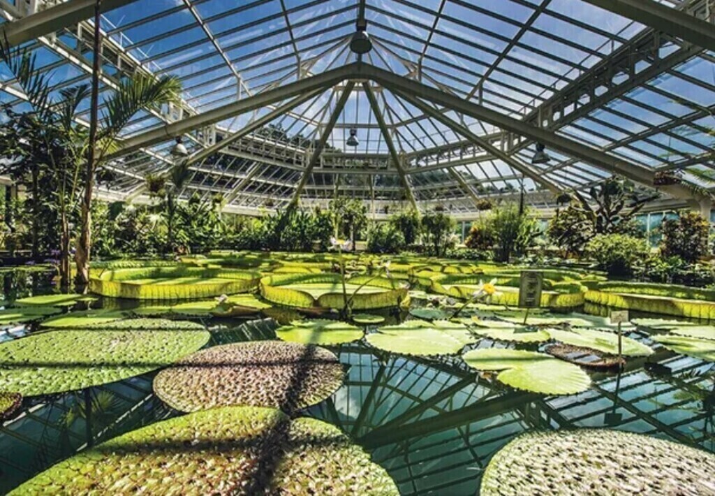 Botanical Garden in Meise (5 min.)