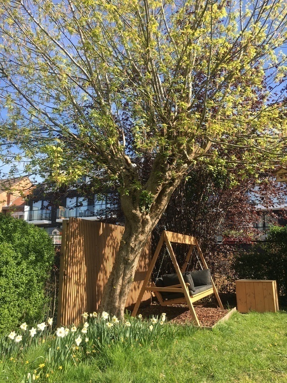 Sofa swing to doze off in