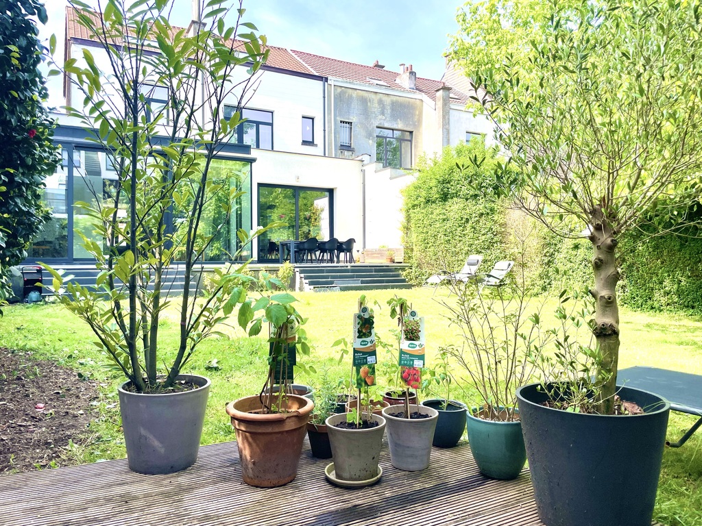Garden with 2 terraces