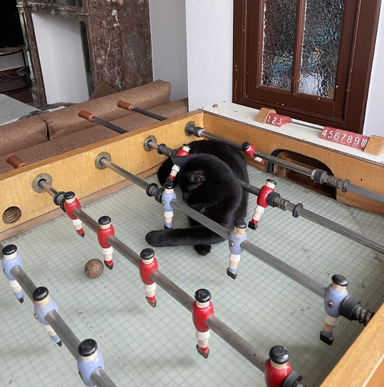 Angèle likes football too!