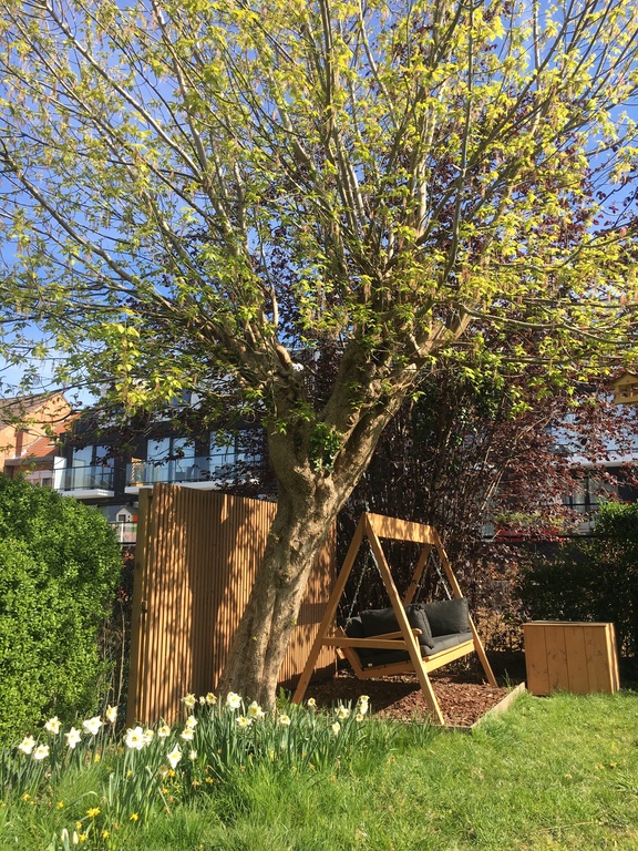 Sofa swing to doze off in