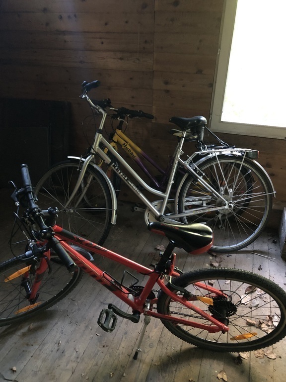 Forest house with bicycles for different ages