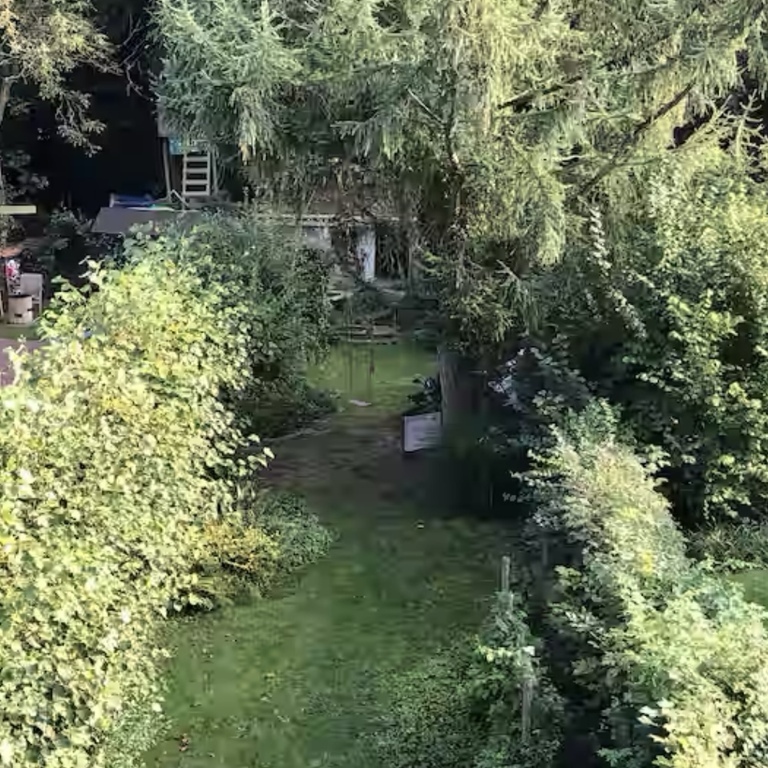 Garden seen from the terrace