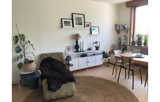 living room and dining area