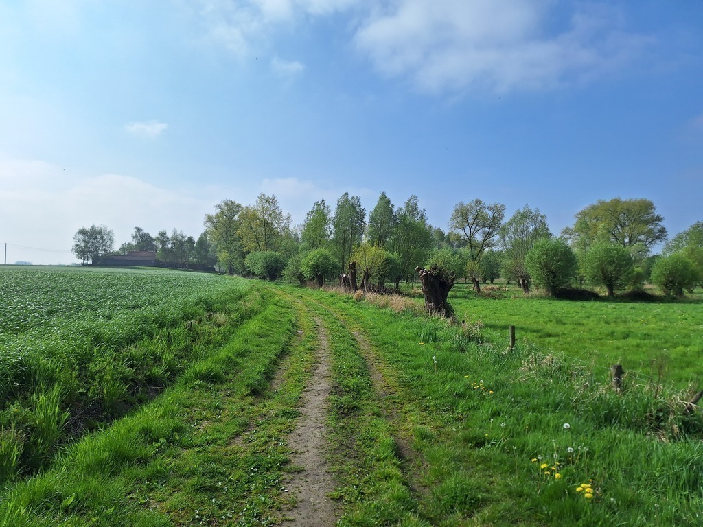 The landscape Around My Home