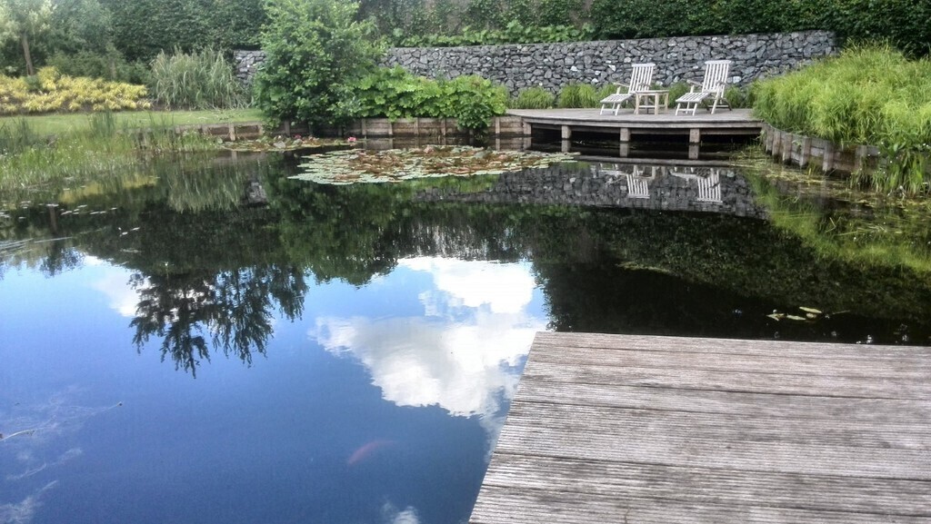 pontoon to jump into the pond.