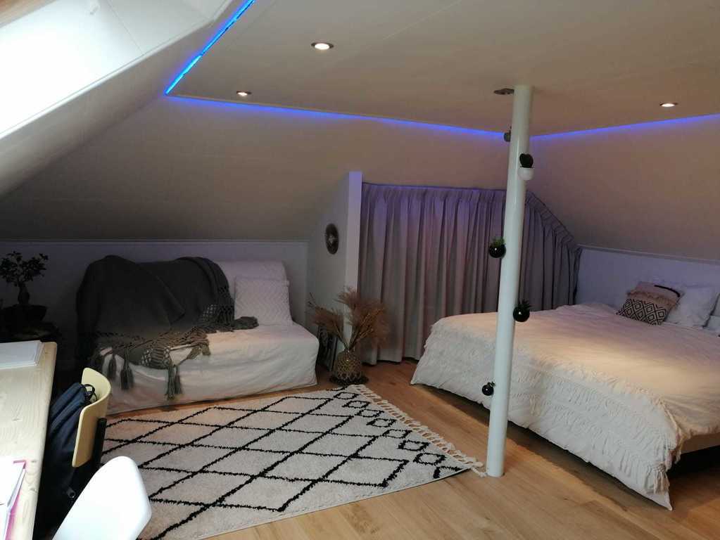 extra space in the attic with toilet, double bed, TV, desk