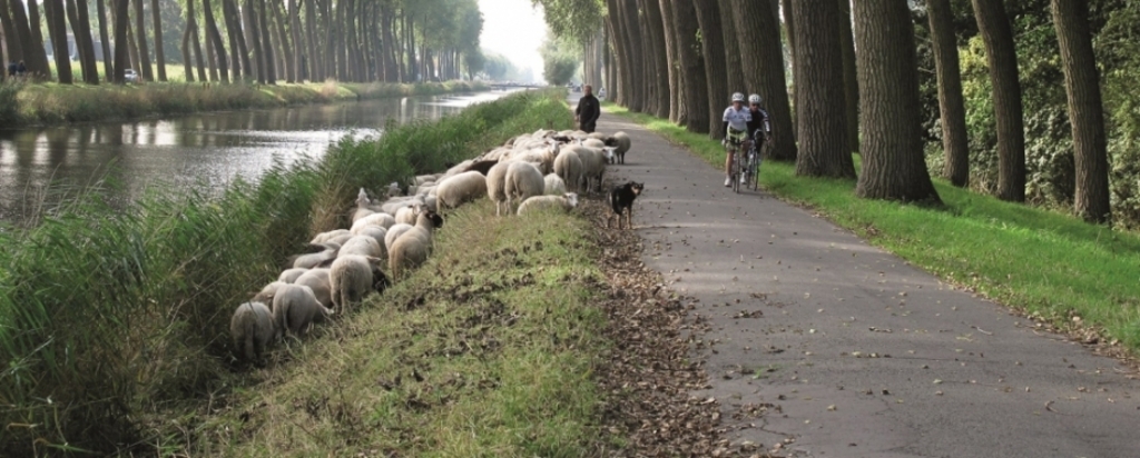 cycling network brings you to the most beautiful places in flanders. Damme 5km from our house