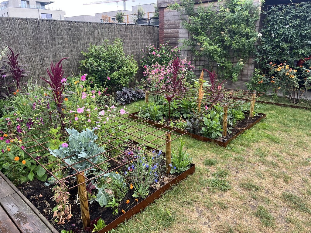 Summer flowers in the garden