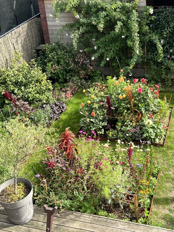 Garden with flowers