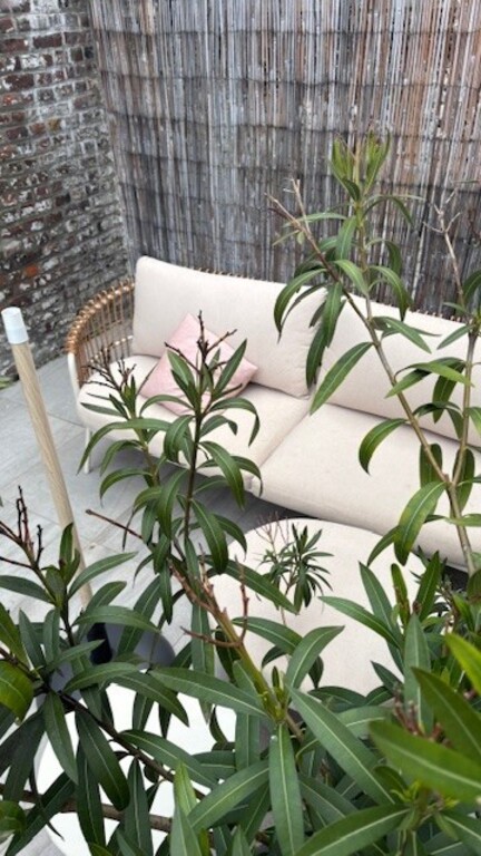 Supergezellig loungeset achterin de tuin, helemaal uit de wind en in de hele dag in de volle zon.