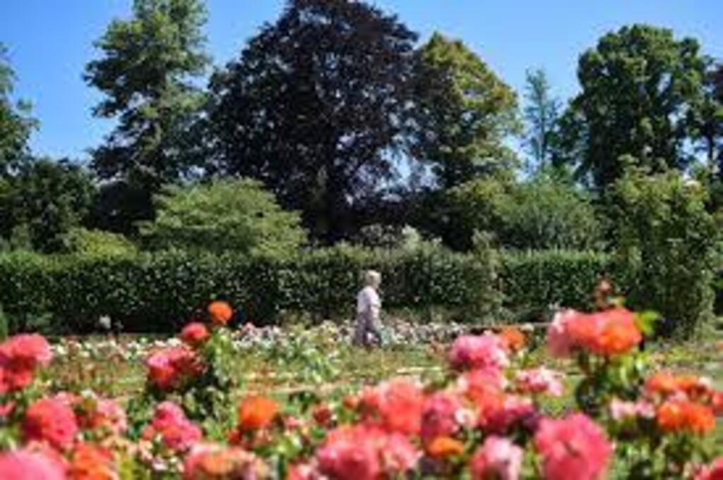 Vrijbroekpark
