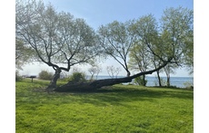 Park and Lake Ontario walking distance from our home