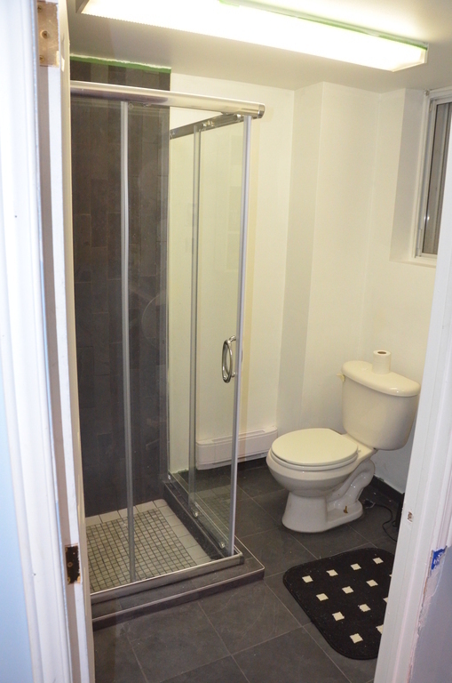 Basement: 3rd Bathroom with shower.