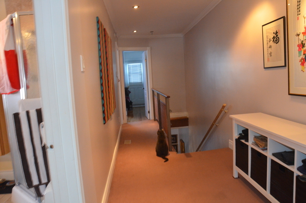1st floor; Corridor (with Tiger, our former 11 y/o cat (RIP)....)