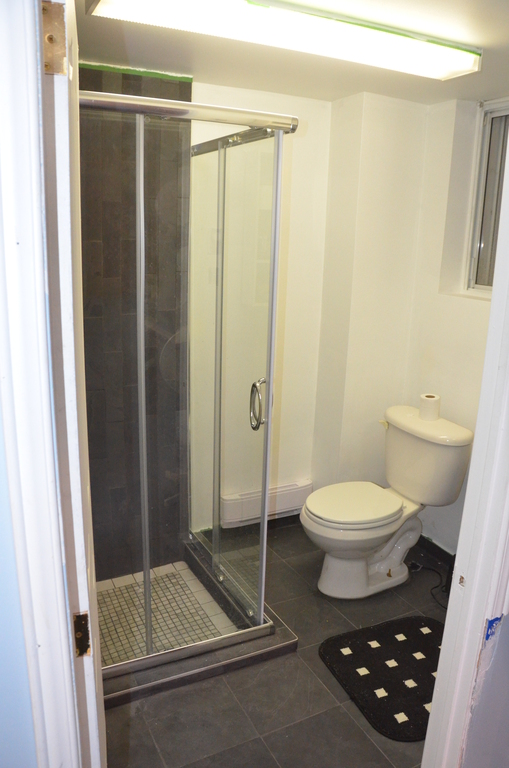 Basement: 3rd Bathroom with shower.