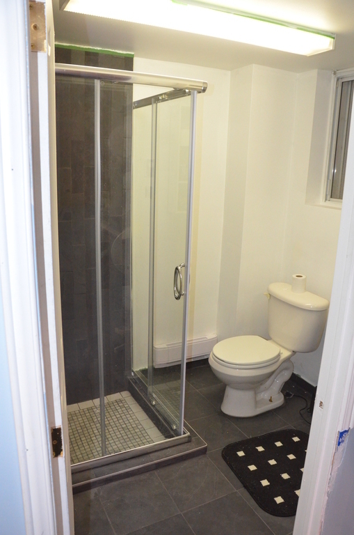 Basement: 3rd Bathroom with shower.