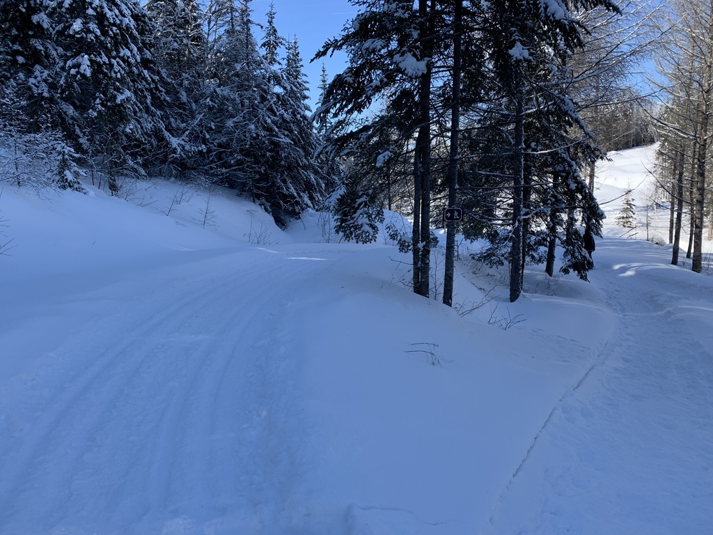 Snowshoeing trails in the Royal Laurentian Golf community where we live